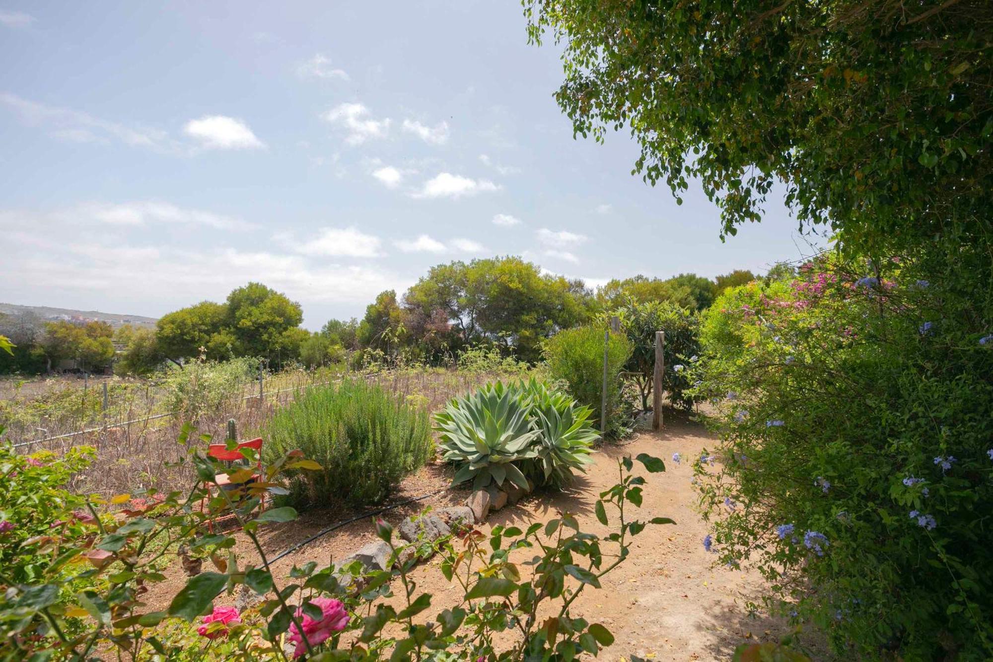 Apartamento Wayra Granadilla De Abona Esterno foto
