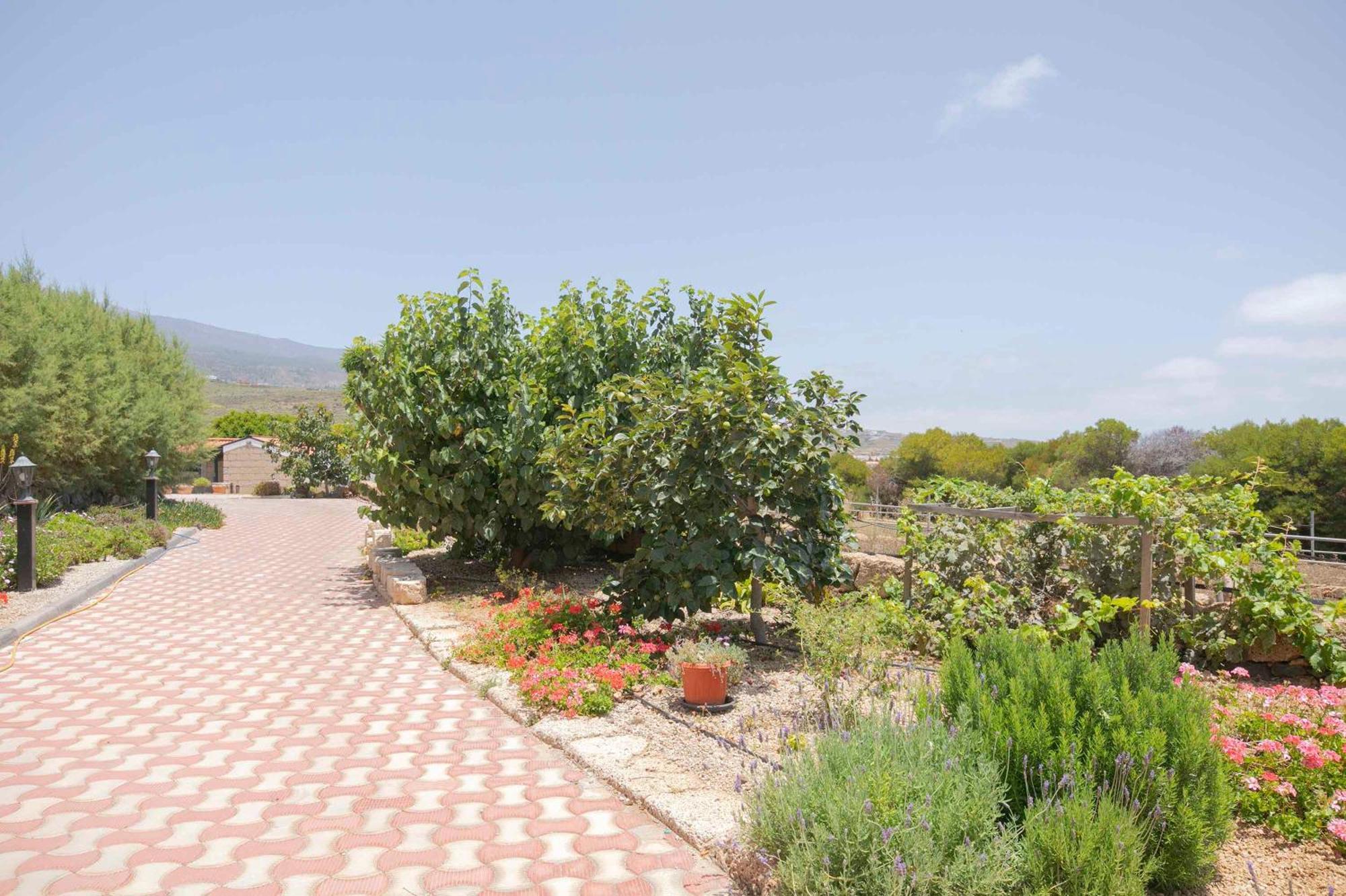 Apartamento Wayra Granadilla De Abona Esterno foto