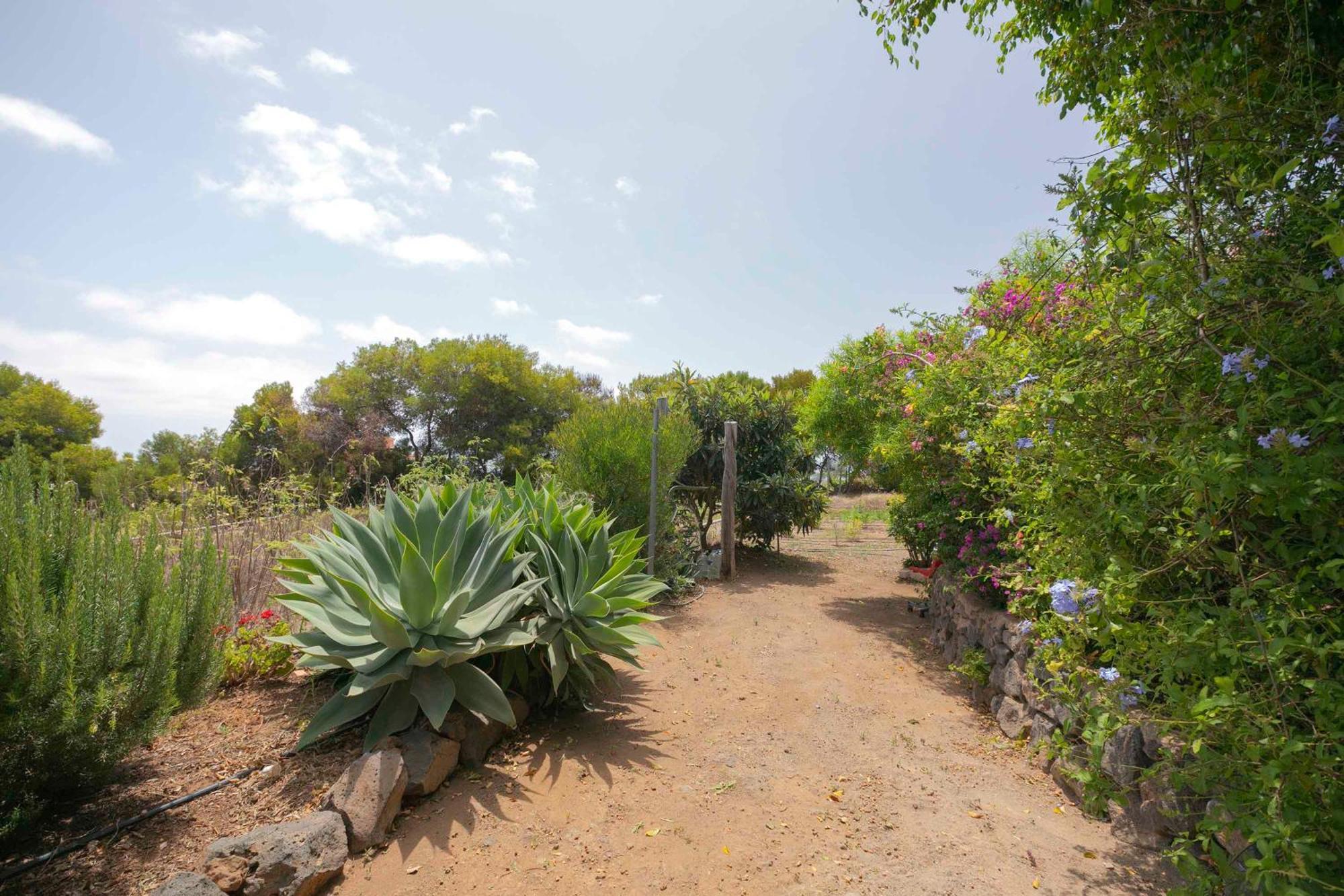 Apartamento Wayra Granadilla De Abona Esterno foto